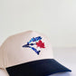 Baseball cap with a logo on a white background navy blue toronto blue jays